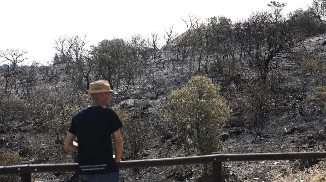 Un vecino observa la superficie quemada por el incendio de Villaharta