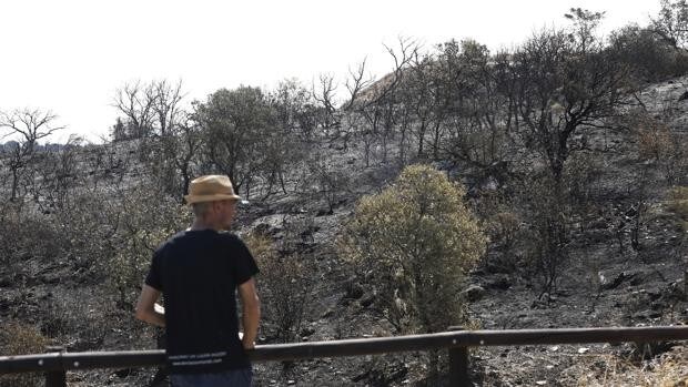 El incendio de Villaharta se da por extinguido tras quemar casi 113 hectáreas