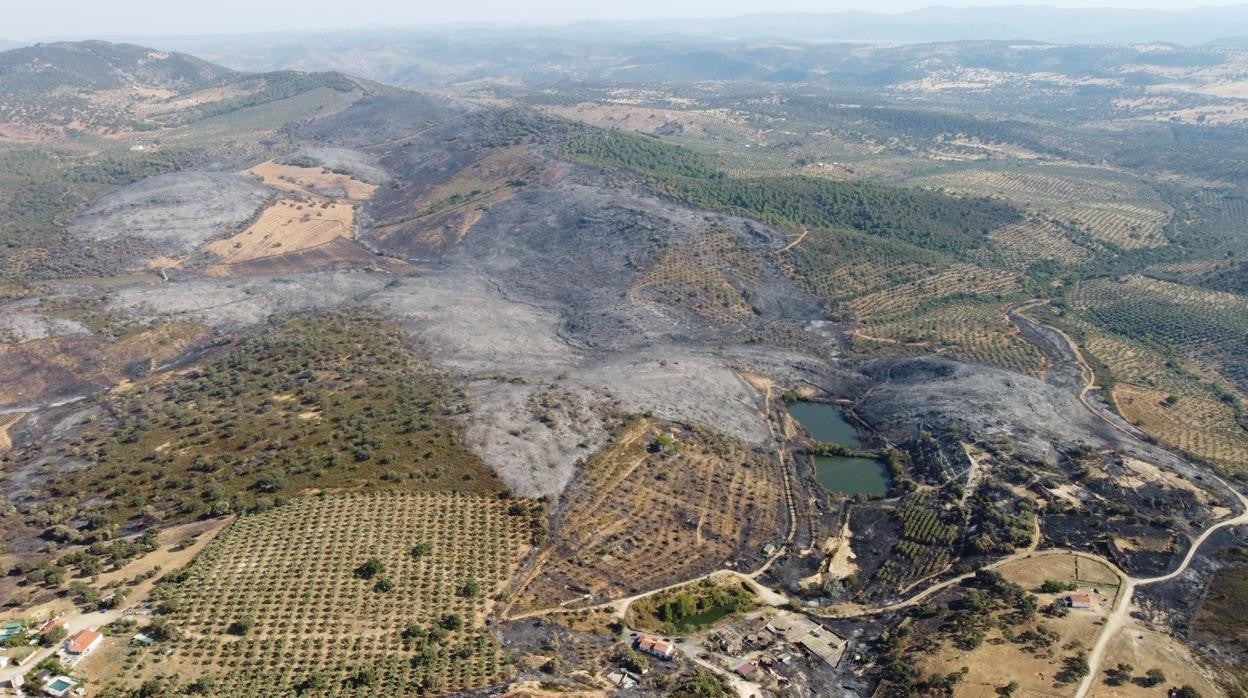 Vista aérea del incendio del Puerto del Calatraveño