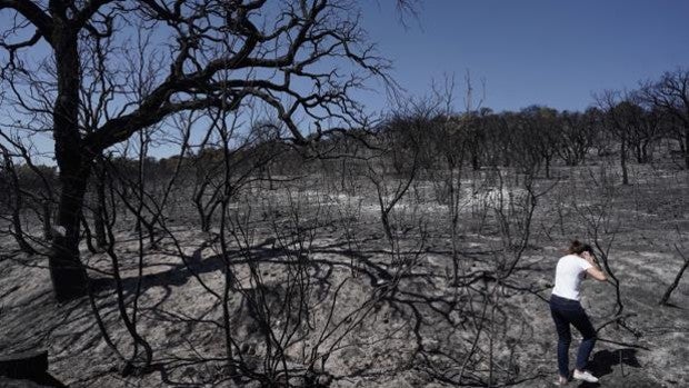 Tener asegurado el campo del fuego ahorra un 75% de los gastos de extinción