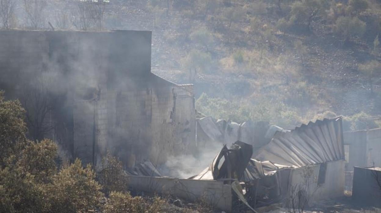 Efectos del incendio de Alcaracejos