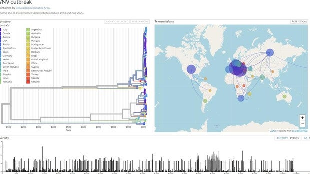 Crean un mapa epidemiológico en Andalucía a través del genoma del virus del Nilo para prevenir brotes