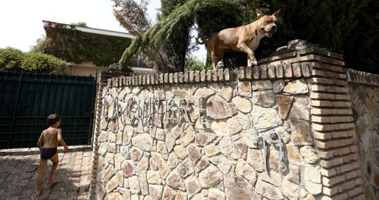 Entrada a una vivienda okupada en Córdoba