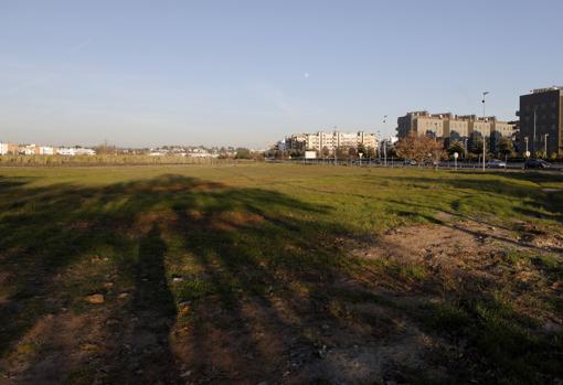 Terrenos del futuro Parque del Canal en Córdoba