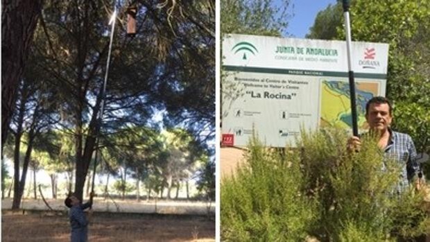 ‘Casas’ para acoger aves y murciélagos en Doñana