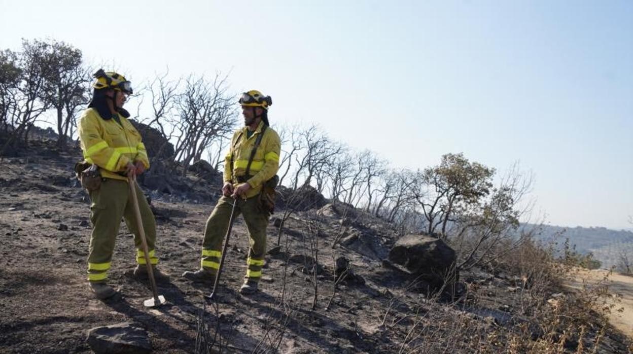 Dos agentes forestales sobre las cenizas del incendio de Alcaracejos