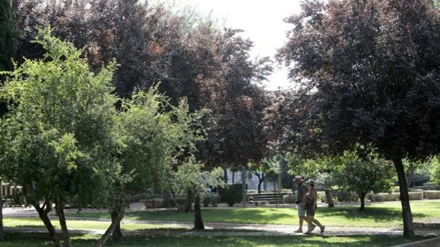 La Gerencia de Urbanismo de Córdoba licita el nuevo acceso al parque de Orive