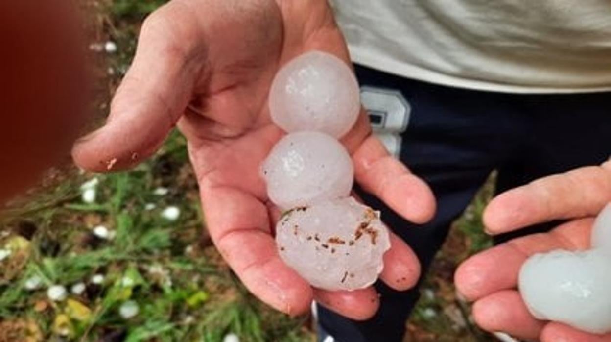 Tamaño del granizo que descargó la tormenta