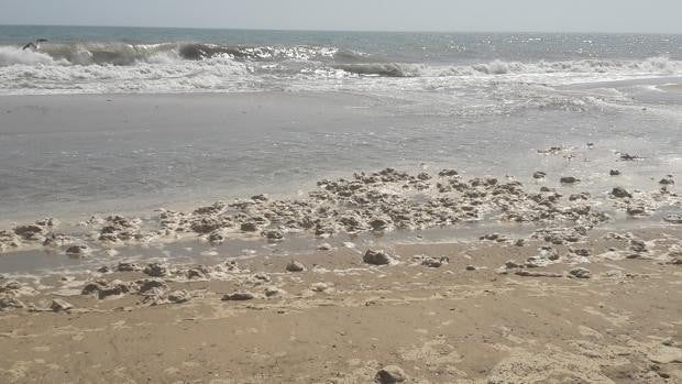 Aparecen natas en la playa de Islantilla que parecen vertidos pero no lo son