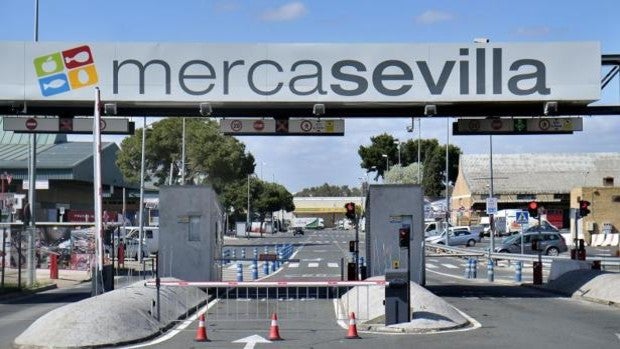 Anticorrupción pide 59 años de cárcel para los acusados del desviar fondos públicos de Mercasevilla