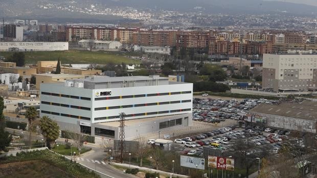 El Instituto de Investigación Biomédica de Córdoba recurre a la ingeniería genética para tratar leucemias