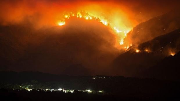 Incendios forestales: no todo es cambio climático