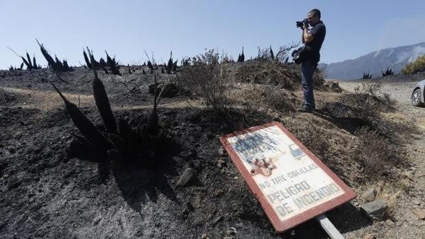 La Junta tiene un «halo de esperanza» para aplacar el fuego de Sierra Bermeja, el peor de los últimos tiempos