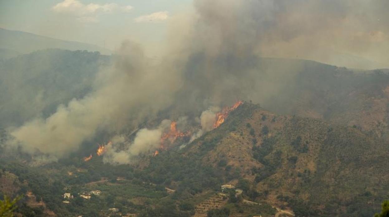 Imagen del incendio en Sierra Bermeja