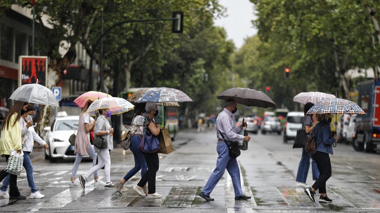 Personas con paraguas en un paso de cebra de Córdoba