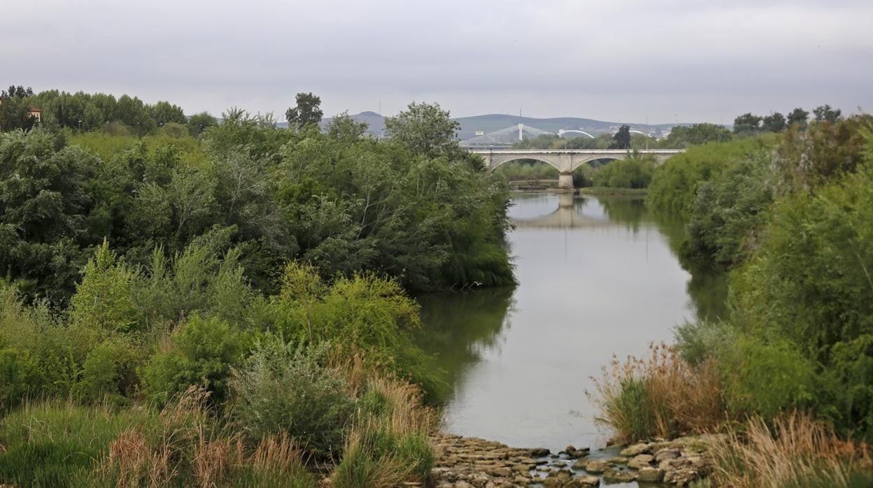 Tramo del río entre los puentes Romano y de San Rafael