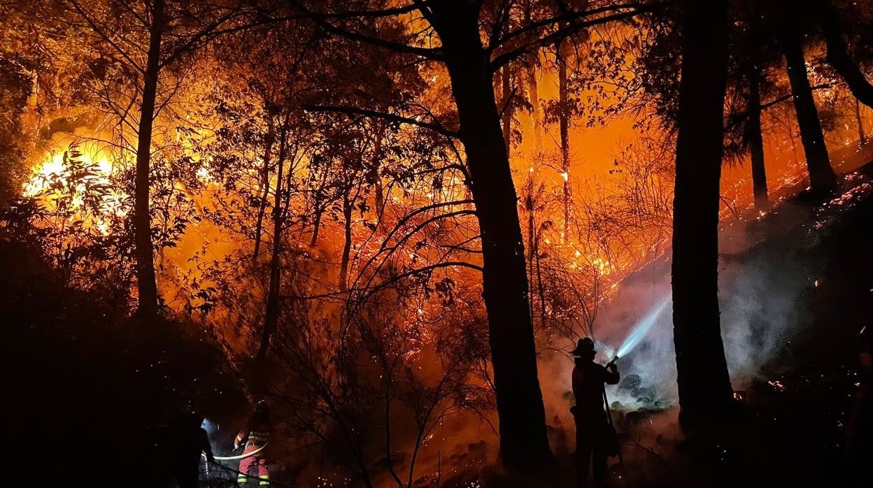 Efectivos de la Unidad Militar de Emergencias luchan contra el fuego en Sierra Bermeja