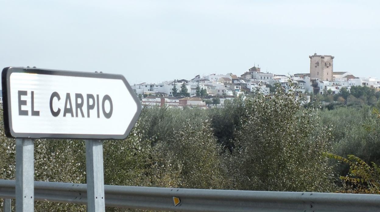 El Carpio, con la torre de Garci Méndez al fondo