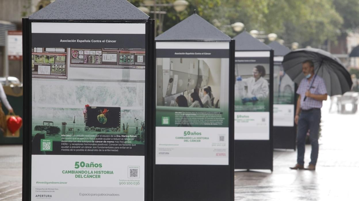 Exposición del bulevar del Gran Capitán sobre los últimos logros en la lucha contra el cáncer