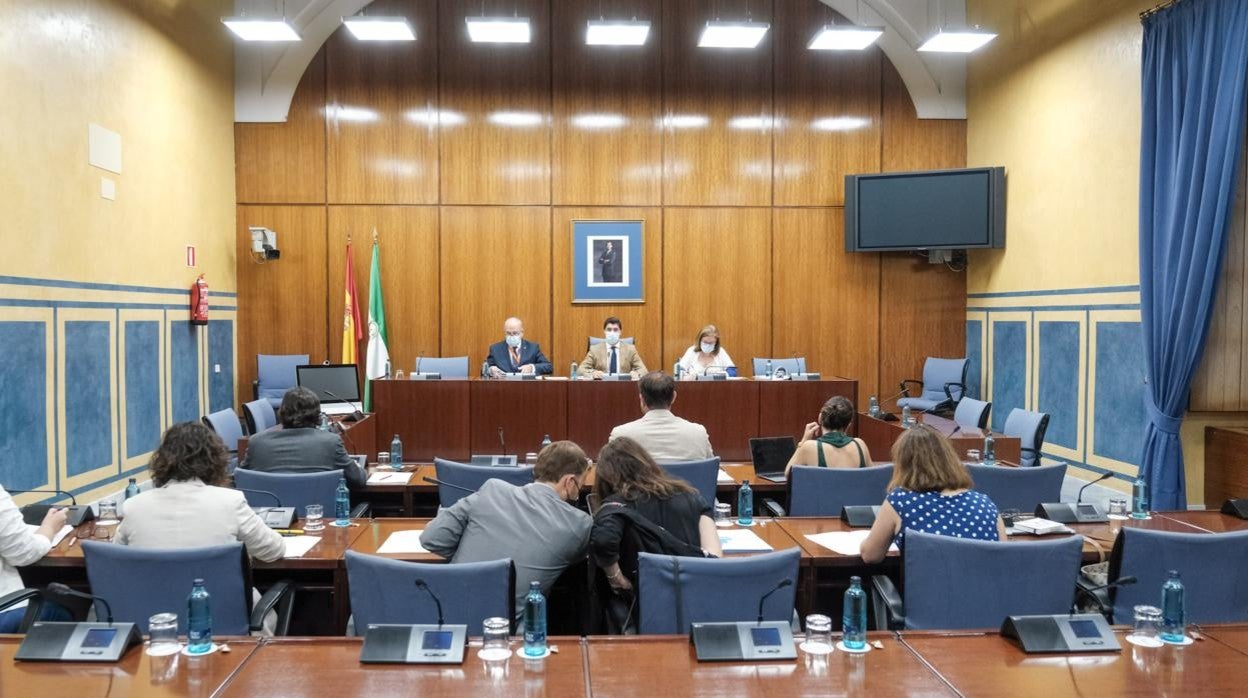 Reunión de la comisión de la Faffe en el Parlamento andaluz el viernes 24 de septiembre