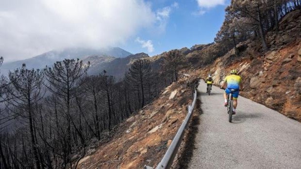 El Genal, daño colateral del incendio de Málaga