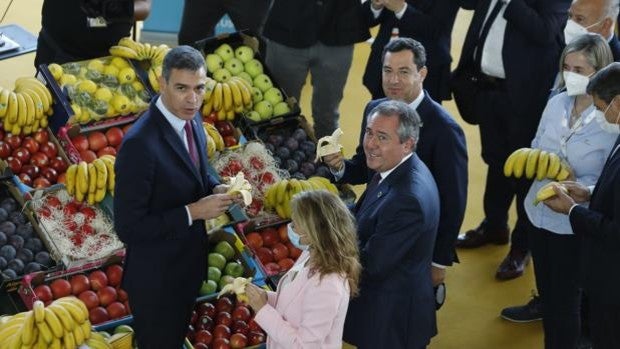 Pedro Sánchez anuncia un bono joven de vivienda de 250 euros al mes para jóvenes hasta 35 años