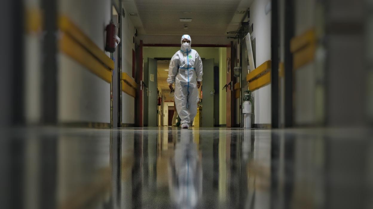 Personal sanitario en el Hospital Reina Sofía