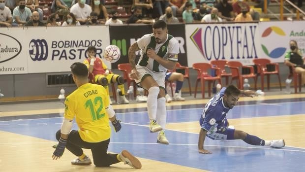 Fútbol sala | El Córdoba Patrimonio, una pretemporada con tres alegrías y marcada por las bajas