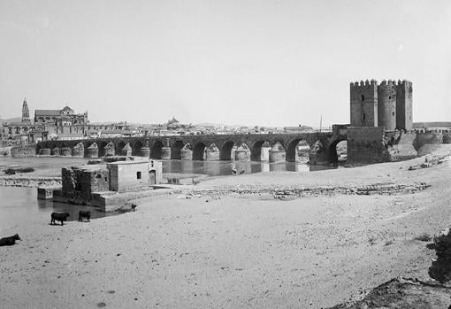 Vacas pastando junto al Guadalquivir en el año 1896