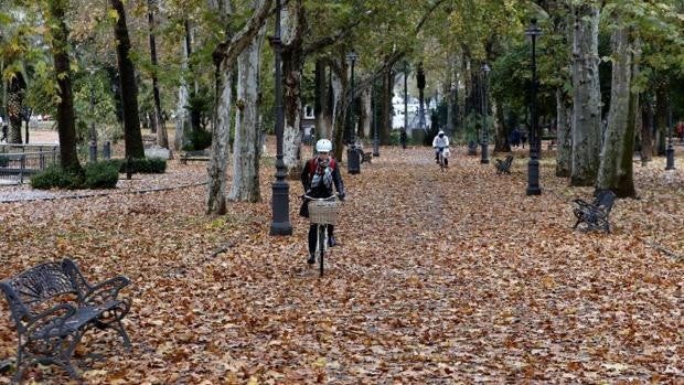 Comienzan a bajar las temperaturas mínimas pero continúa el calor este martes Día del Pilar en Córdoba