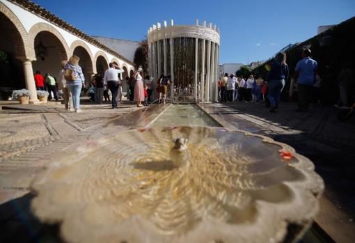 Festival Flora Córdoba 2021 | ¿Qué significado tienen las instalaciones de arte floral participantes?