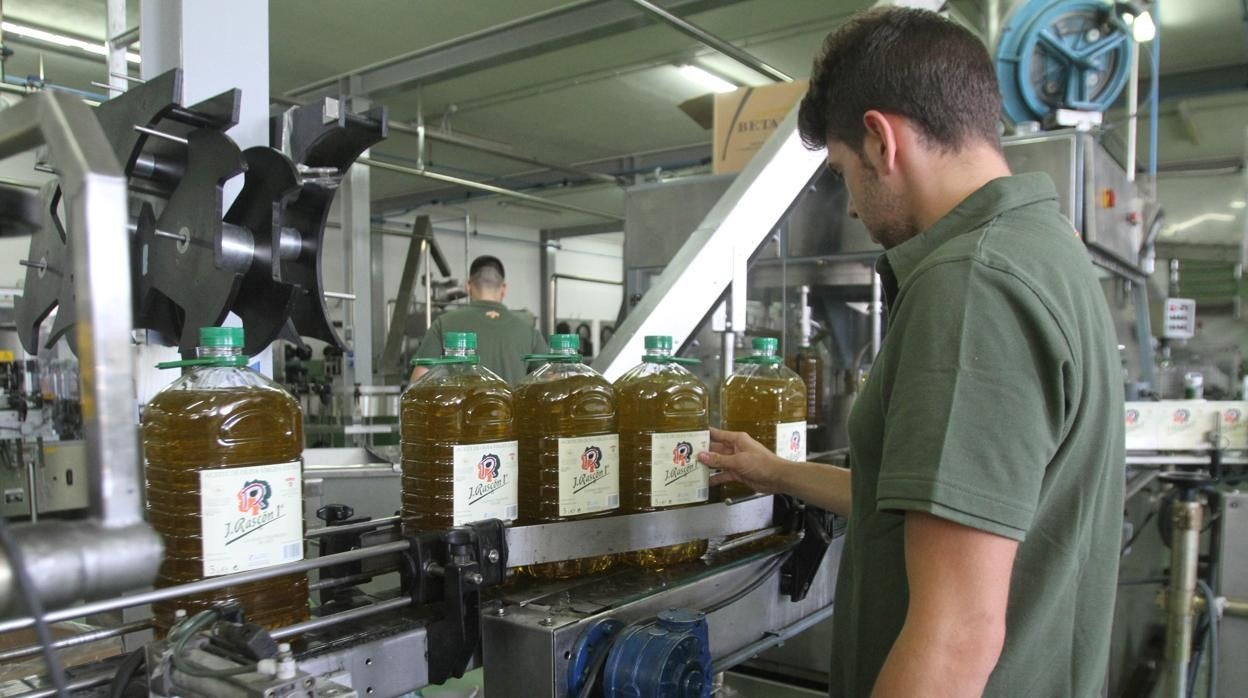 Envasado de aceite en Priego de Córdoba