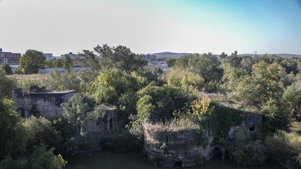 La Junta insta a Endesa a la restauración de dos molinos históricos del río en Córdoba