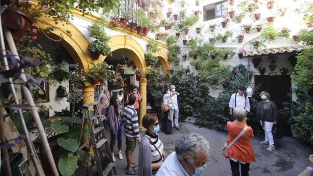 Más de 62.500 personas han visitado los Patios de Córdoba en Otoño a falta de un día para su clausura