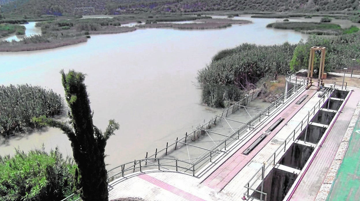 Estado actual del embalse del Cordobilla