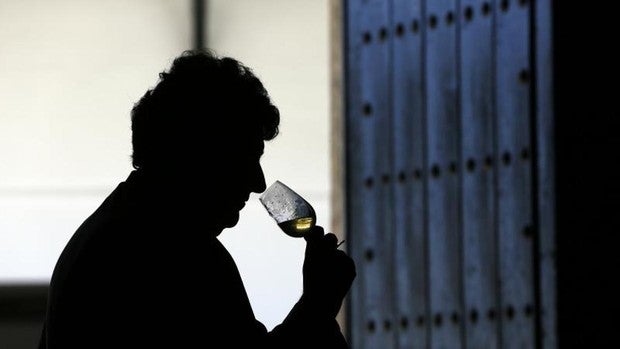 Tres bodegas de Córdoba entre las mejores españolas de la última década
