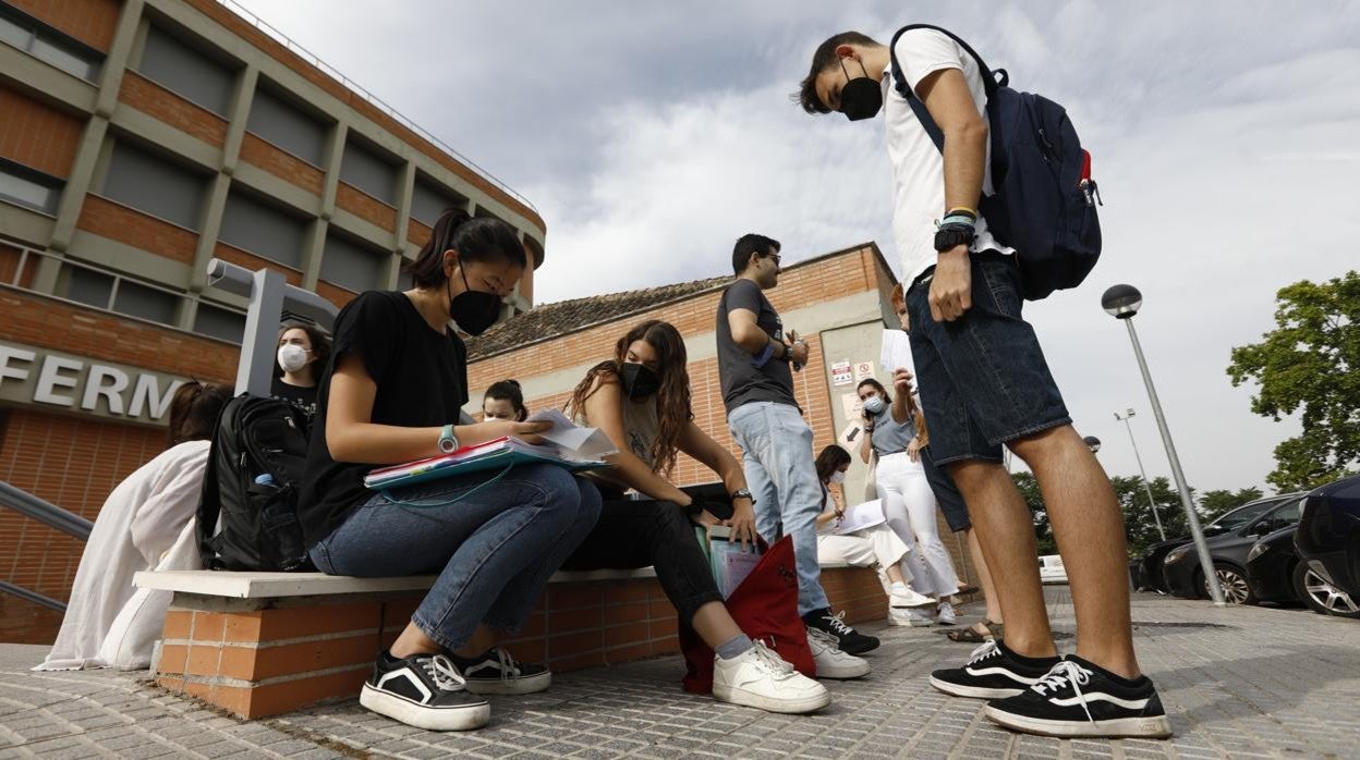 Una estudiante repasa sus apuntes antes de empezar la PEvAU en Córdoba en junio de 2021