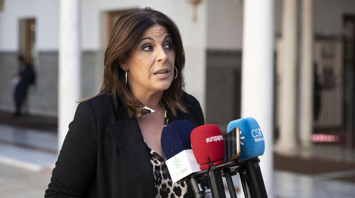 La diputada del PSOE Ángeles Férriz