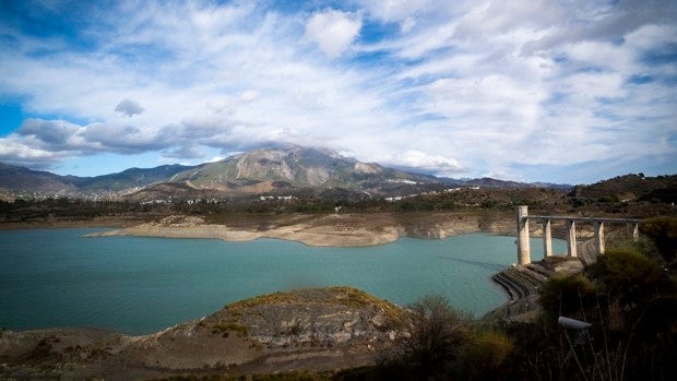 El 'paraíso' del aguacate de Málaga, en situación crítica por la falta de agua