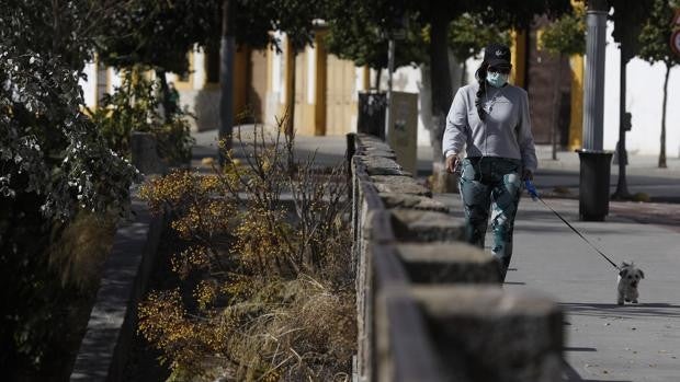 Las mínimas caerán en Córdoba este jueves de los nueve a los seis grados