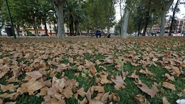 Fin de semana de puro otoño en Córdoba con máximas de 18 grados y sol sin rastro de lluvia