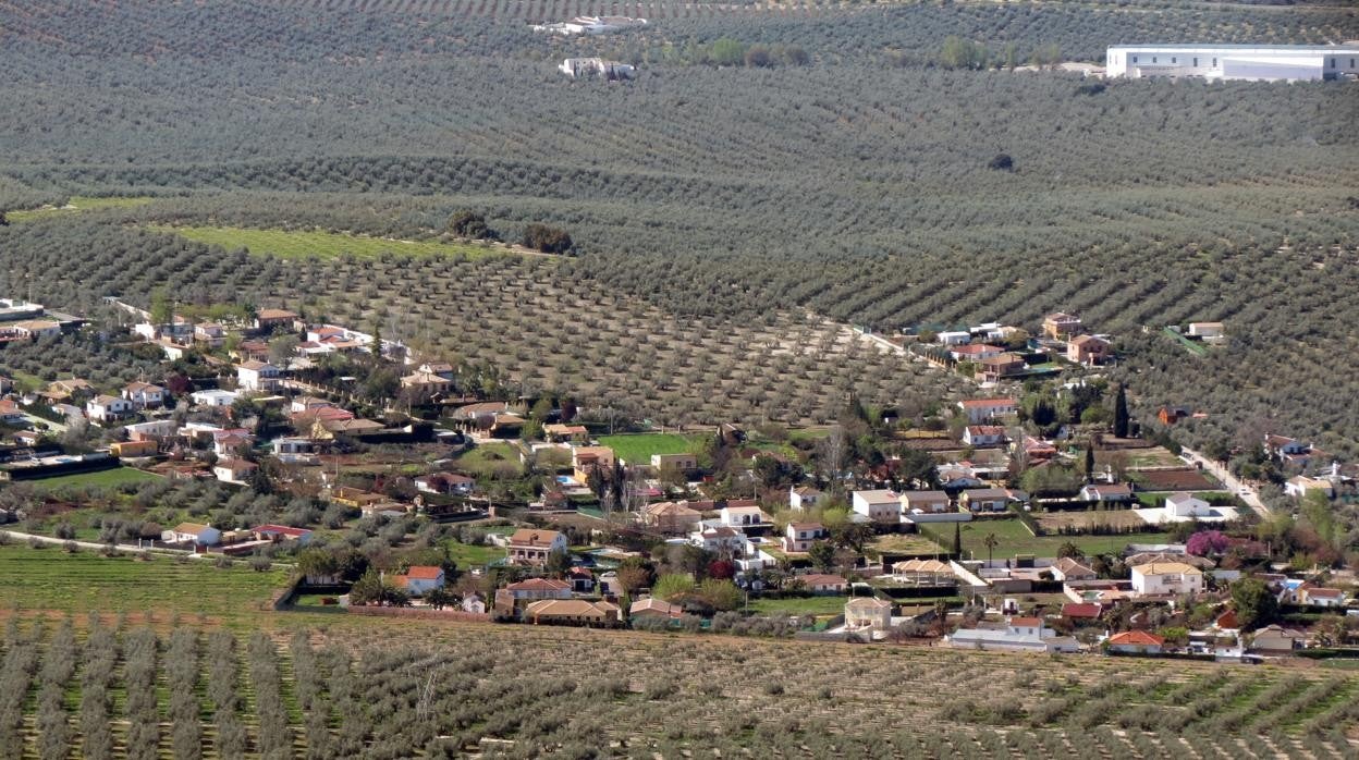 Viviendas diseminadas en la zona de Campo de Aras de Lucena