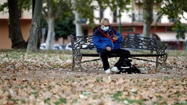 Sol y 20 grados de máximas este martes, 16 de noviembre, en Córdoba