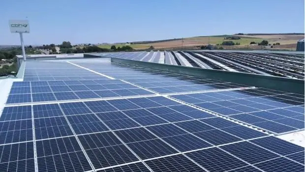 'Boom' de las renovables | La empresa lucentina EnchufeSolar dobla su facturación y abre 6 franquicias en un año