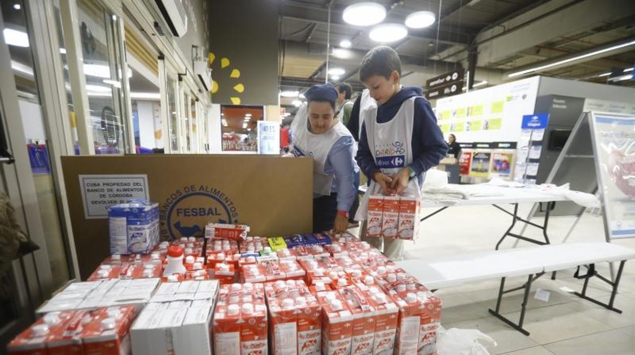 Recogida de alimentos en la campaña de 2019, la última en formato físico