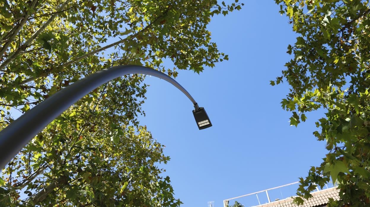 Una farola en la avenida de Libia