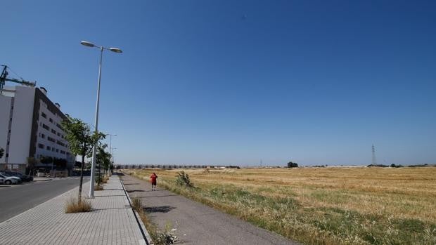 La Gerencia de Urbanismo autoriza la urbanización del barrio de Poniente más lejano del centro de Córdoba