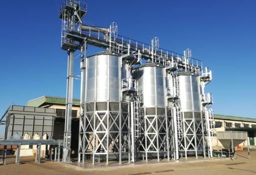 Silos de mojado a los que pasa la almendra limpia en la planta de Dcoop en Villarrubia