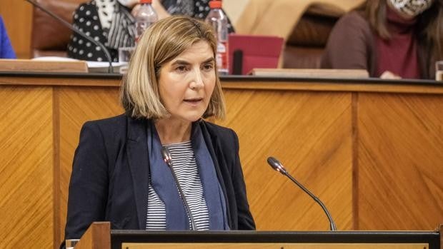 El Parlamento aprueba dos decretos del Gobierno andaluz sin votos en contra