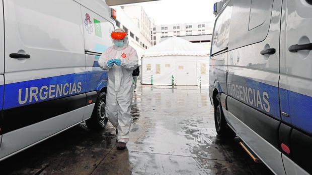 El Reina Sofía de Córdoba registra un incremento «discreto» de ingresos por el Covid